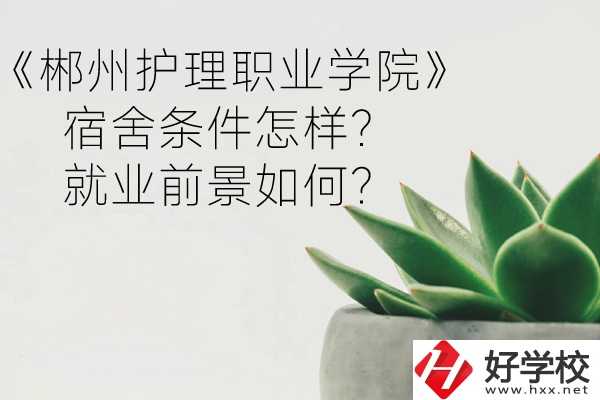 郴州護(hù)理職業(yè)學(xué)院宿舍條件怎樣？就業(yè)前景如何？