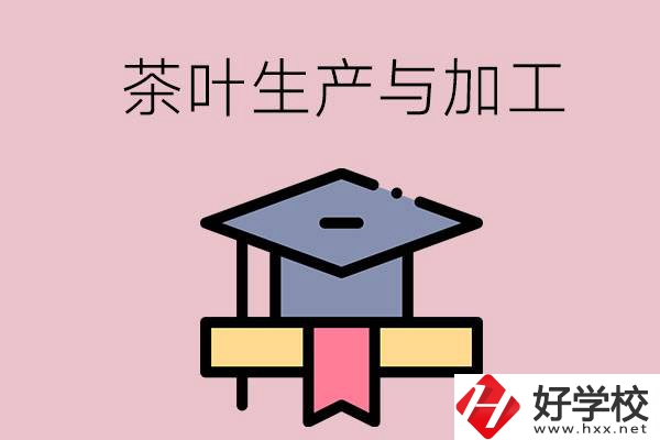 湖南哪些技校開設(shè)了茶葉生產(chǎn)與加工專業(yè)？