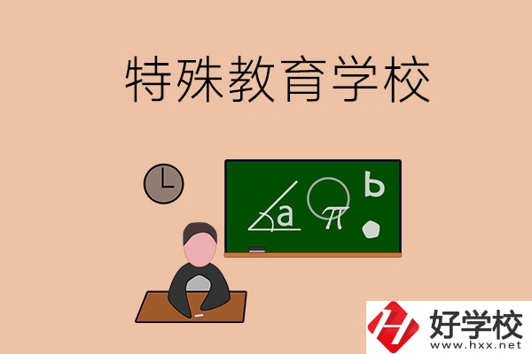 湖南省有哪些特殊教育學(xué)校？