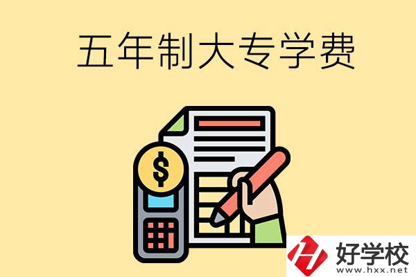 在長(zhǎng)沙讀五年制大專一年學(xué)費(fèi)是多少？有補(bǔ)貼嗎？