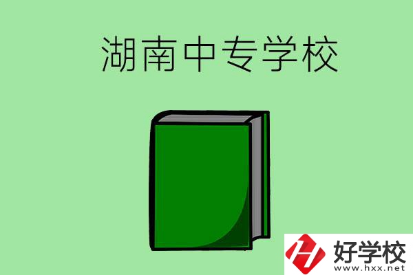 湖南的中專學(xué)校有哪些？都開設(shè)了哪些專業(yè)？