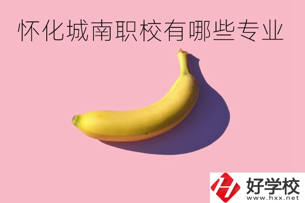 懷化城南職業(yè)學(xué)校有哪些專業(yè)？學(xué)校好不好？