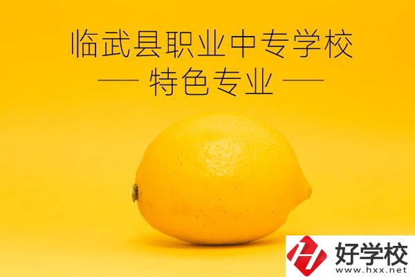 臨武縣職業(yè)中專學(xué)校好嗎？有哪些特色專業(yè)？