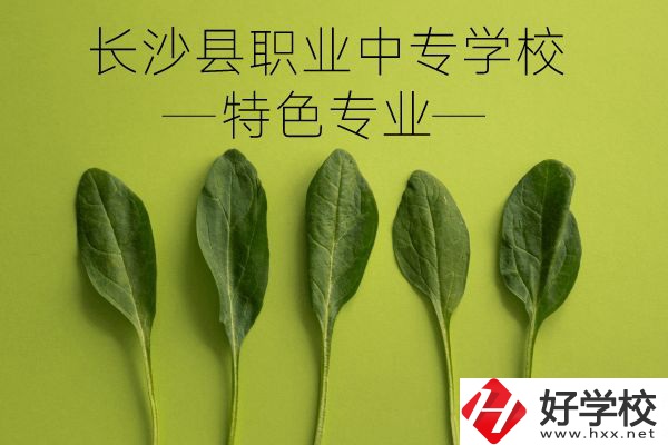 長沙縣職業(yè)中專學(xué)校怎么樣？有什么特色專業(yè)？