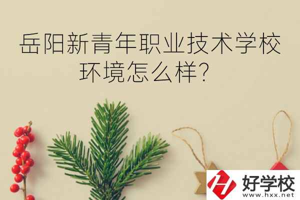 岳陽新青年職業(yè)技術學校好不好？環(huán)境怎么樣？