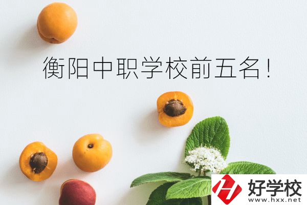 衡陽中職學(xué)校前五名！你選對了嗎？