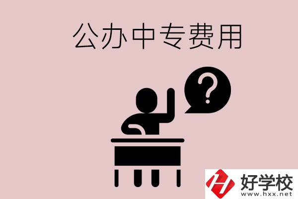 長(zhǎng)沙中專(zhuān)哪所學(xué)校費(fèi)用少一點(diǎn)？首選這兩所公辦學(xué)校！