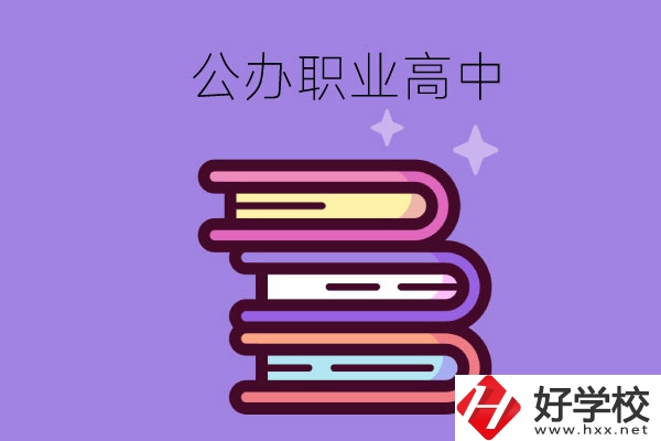 長(zhǎng)沙市有哪些公辦職業(yè)高中學(xué)校？