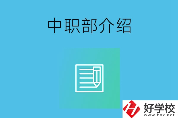 湘潭院校中職部介紹，這幾所學校你知道嗎？