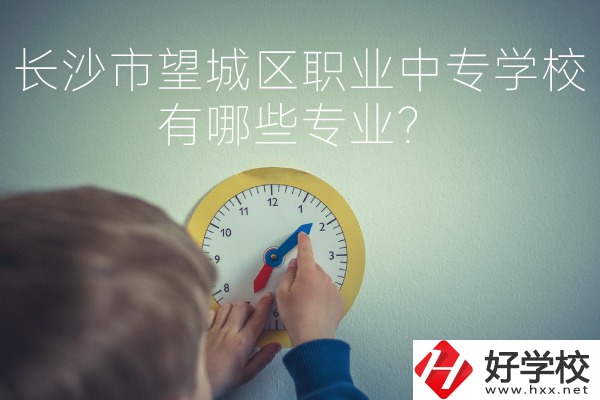 長沙市望城區(qū)職業(yè)中等專業(yè)學(xué)校有哪些專業(yè)？