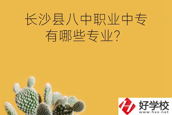 長(zhǎng)沙縣八中職業(yè)中專(zhuān)好不好？有哪些專(zhuān)業(yè)？