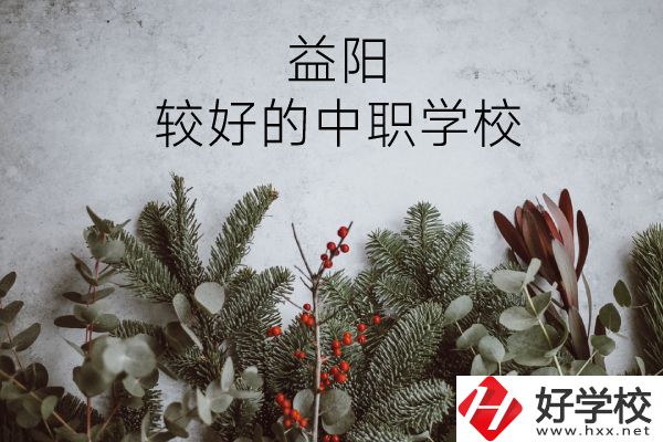 益陽(yáng)有哪些中職學(xué)校比較好？