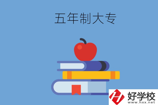 長沙開設(shè)教育類專業(yè)的五年制大專有哪些？