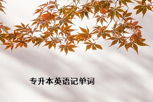 專(zhuān)升本英語(yǔ)記單詞