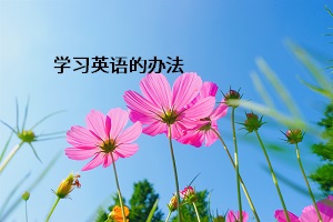 學(xué)習(xí)英語的辦法