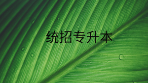 統(tǒng)招專升本