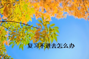 復(fù)習(xí)不進(jìn)去怎么辦