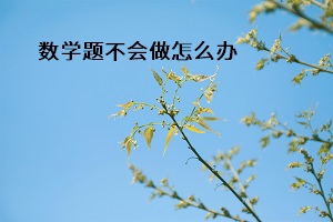 數(shù)學題不會做怎么辦