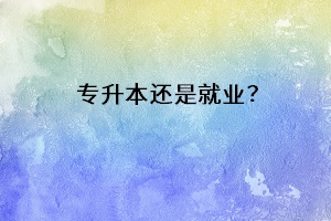 專升本還是就業(yè)？