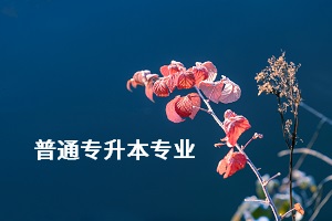 荊楚理工學(xué)院專升本的專業(yè)有哪些？專業(yè)考試難不難？