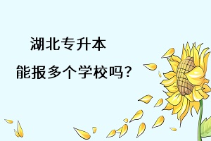 湖北專(zhuān)升本能報(bào)多個(gè)學(xué)習(xí)嗎？