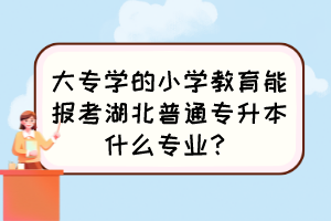 大專學(xué)的小學(xué)教育能報考湖北普通專升本什么專業(yè)？