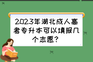 2023年湖北成人高考專升本可以填報(bào)幾個(gè)志愿？